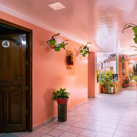 Alpa Kasa Chachapoyas Exterior foto